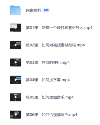 Pr速成3小时学会视频剪辑