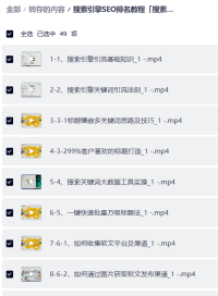 搜索引擎SEO排名教程「搜索引擎 推广全系可复制，打造精准被动流量系统」