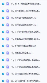 小红书带货课程：小Red书带货2.0版