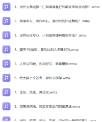 教你如何成为一个年赚100W的副业高手